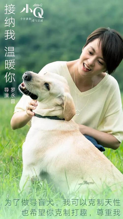 UserProfile:埃克塞特大学成绩单办理